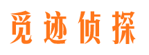 陵水外遇调查取证